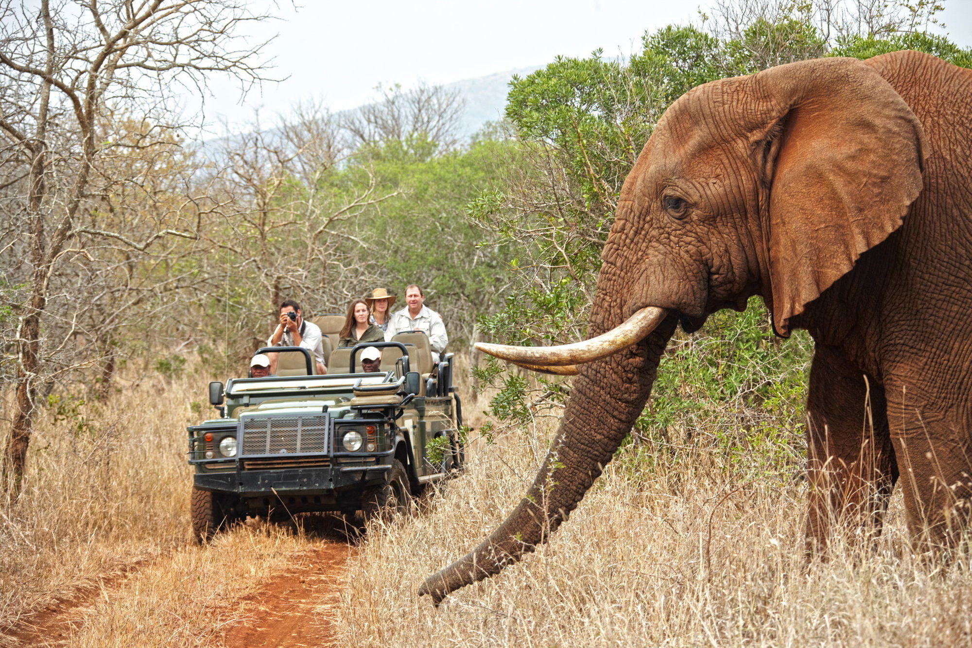 Thanda Safari Hluhluwe Ausstattung foto