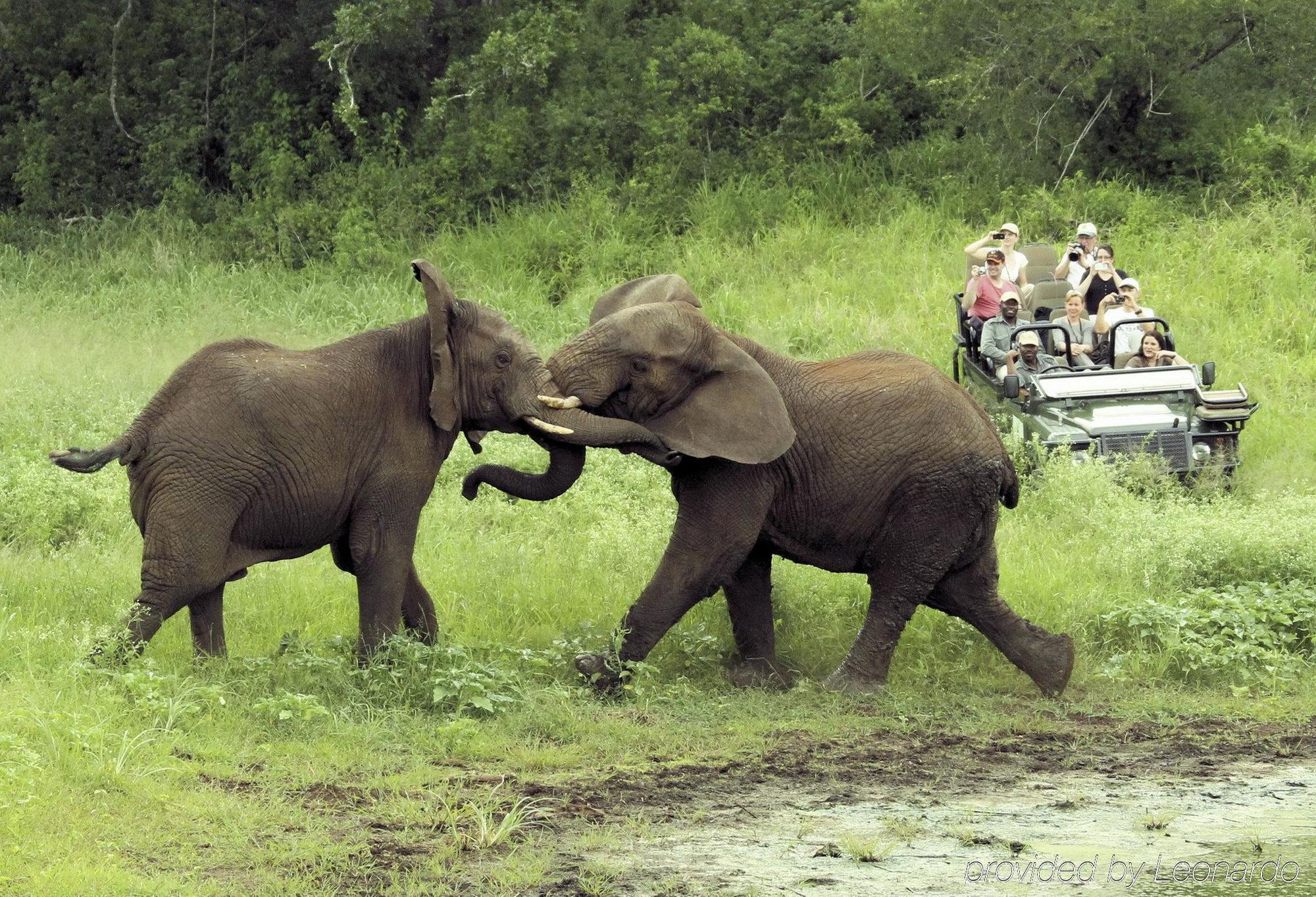 Thanda Safari Hluhluwe Exterior foto