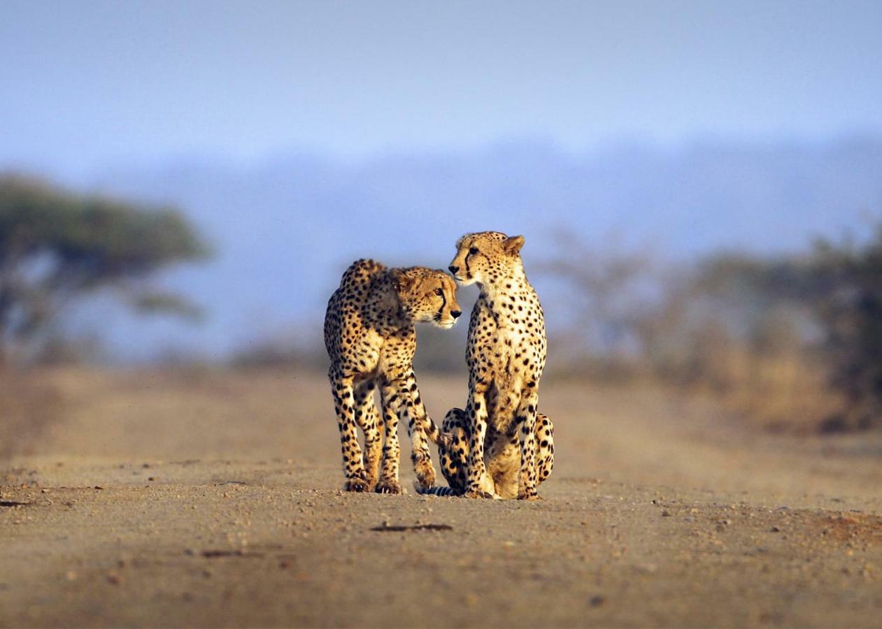 Thanda Safari Hluhluwe Exterior foto